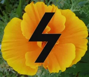 Sowilo Poppy