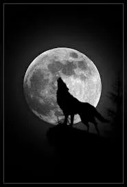 Moon Magic