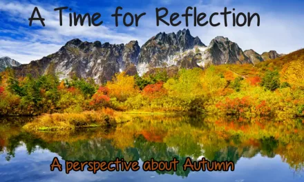 A Time For Reflection