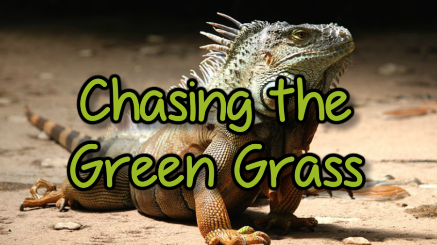 Chasing The Green Grass