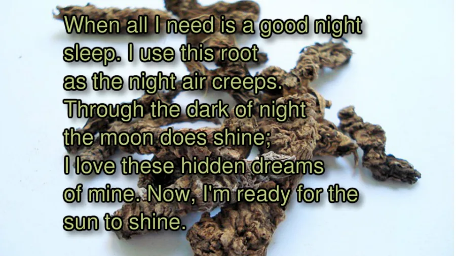 Sleeping Potion
