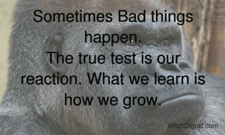 Sometimes Bad Things Happen