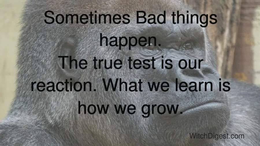 Sometimes Bad Things Happen