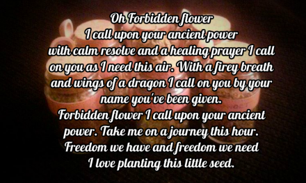 The Forbidden Flower
