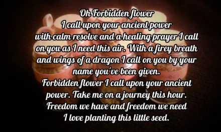The Forbidden Flower