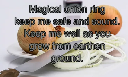 The Magic Onion Ring