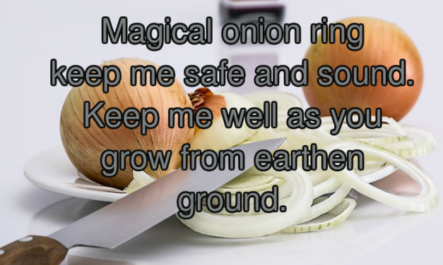 magic kingdom onion