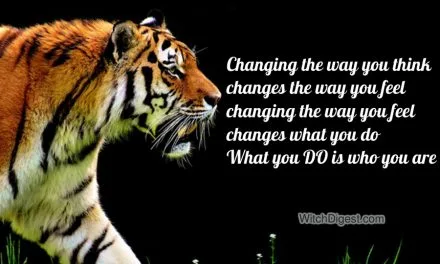 The Power of Belief