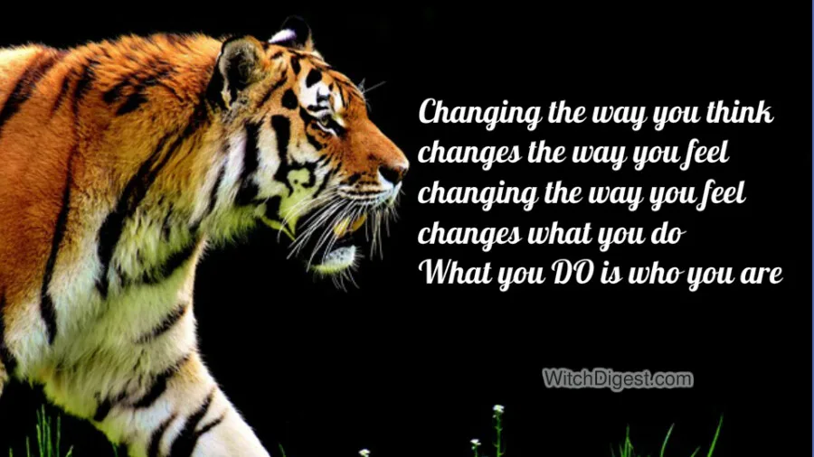 The Power of Belief
