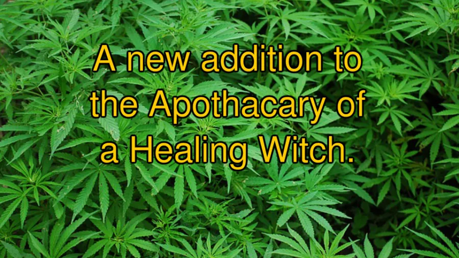 Cannabis Healing Ritual