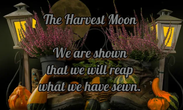 Harvest Moon