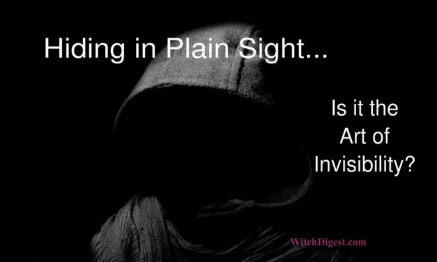 Hiding in Plain Sight – The Art of Invisibility