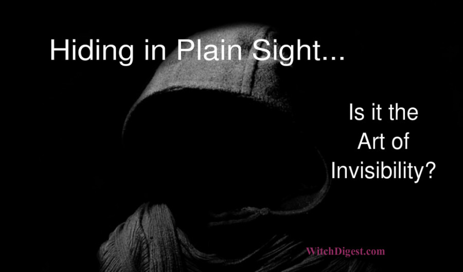 Hiding in Plain Sight – The Art of Invisibility